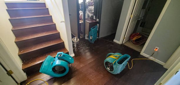 Best Sewage cleanup and water damage restoration  in Yale, OK