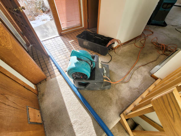 Best Commercial water damage restoration  in Yale, OK