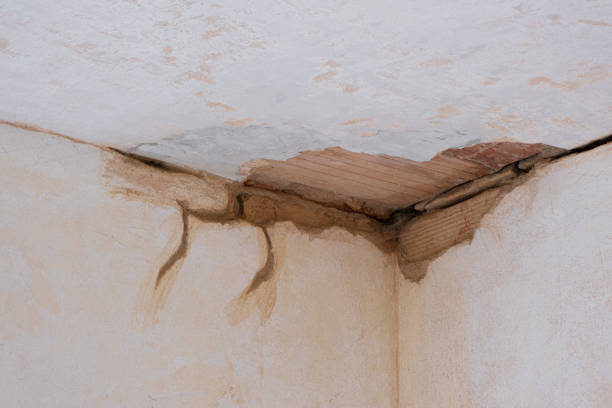 Best Water damage cleanup near me  in Yale, OK