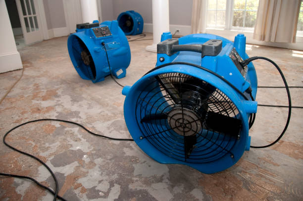 Best Carpet water damage restoration  in Yale, OK