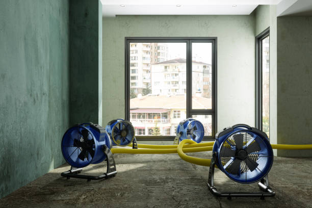 Best Mold removal after water damage  in Yale, OK